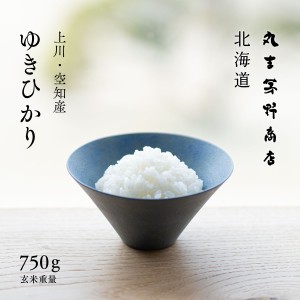 ゆきひかり 750g(5合) 北海道 上川 空知産 玄米 白米 令和4年産 送料無料