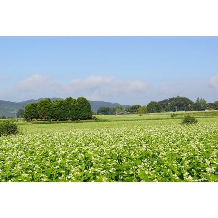 ふるさと納税 DX-10常陸そば乾麺4袋　ご贈答用つゆ付セット 茨城県行方市