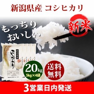 新米 米 20kg 新潟県産 コシヒカリ 5kg×4袋 令和5年産 お米 20kg 送料無料 北海道・沖縄配送不可 クーポン対象 20キロ 安い