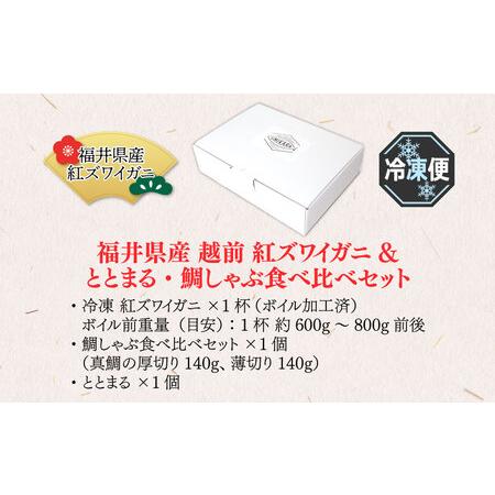 ふるさと納税 福井県産 越前 紅ズワイガニととまる・鯛しゃぶ食べ比べセット（プロトン凍結） 福井県高浜町