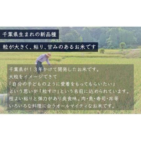 ふるさと納税 ＜3ヶ月定期便＞千葉県産「粒すけ」10kg×3ヶ月連続 計30kg   どっちのふるさと TV フジテレビ 新米粒すけ 令和5年産粒す.. 千葉県大網白里市