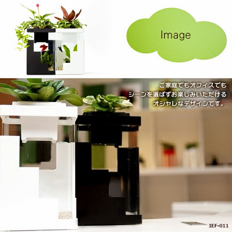 Ief 011wh アクアリウム水槽ladder Style ラダースタイル ホワイトベース 着脱式ledライト付水槽 熟練した職人の手作り品 ハンドメイド 水槽 インテリア ガーデニング 小魚 観葉植物 水耕栽培 大人気の多肉植物にも 風水 運気アップ 通販 Lineポイント最大5 0 Get