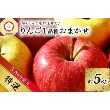 ふるさと納税   旬の美味しい りんご 約5kg 青森産  青森県五所川原市
