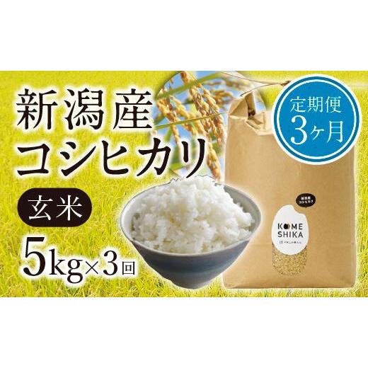 ふるさと納税 新潟県 新潟産コシヒカリ  玄米5kg×3回