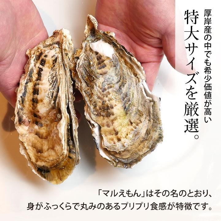 カキ 殻付 生牡蠣 北海道 厚岸 マルえもん 美味しい 特大 3L (1個約150g) 15個セット 生食可 未冷凍 ギフト 海鮮 送料無料