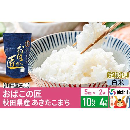 ふるさと納税 《定期便4ヶ月》令和5年産 仙北市産 おばこの匠 10kg×4回 計40kg 秋田県産あきたこまち 秋田こまち お米 4か月 4ヵ月.. 秋田県仙北市