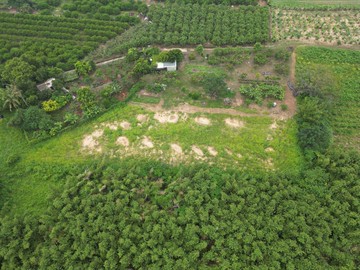 君君精選歸仁高發超稀有美一般農｜台南市歸仁區高發段