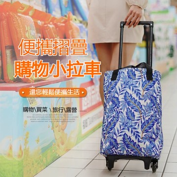 升級拉桿購物車 買菜車 菜籃車 可折疊 承重20kg 買菜購物車 摺疊購物車 購物車 保溫購物車
