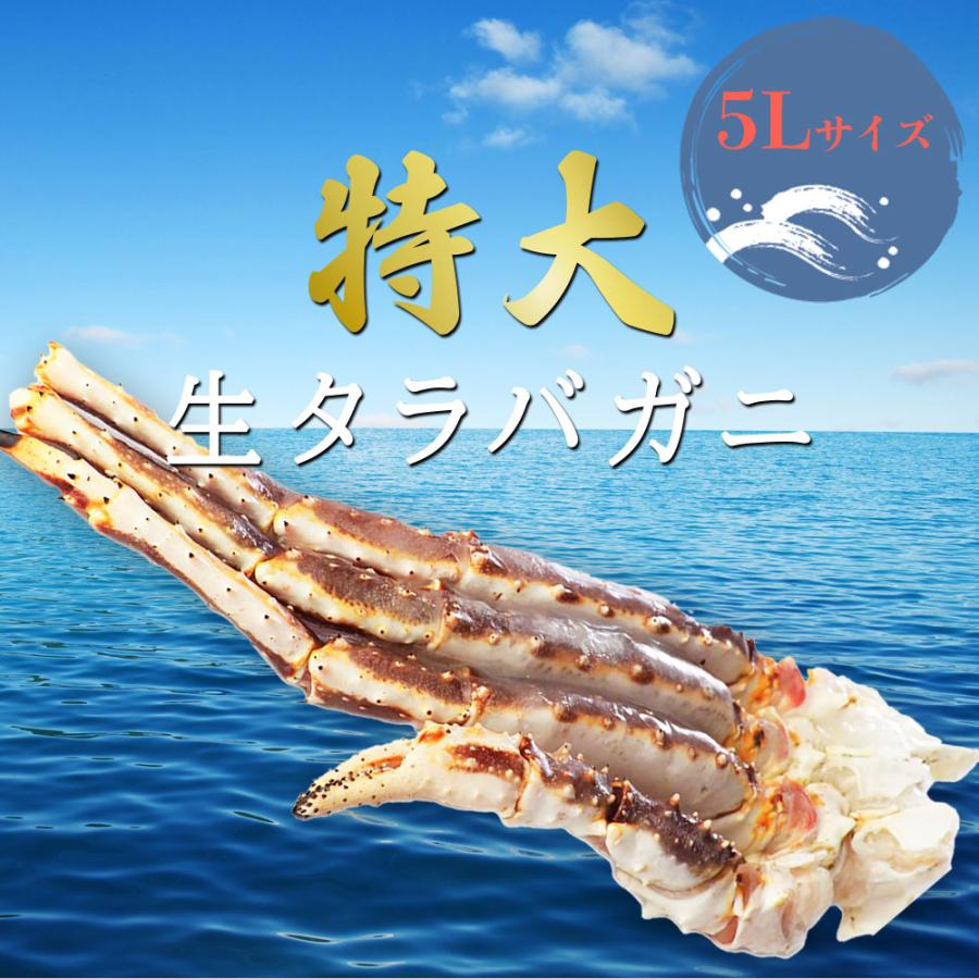 タラバガニ 訳あり 5L 1kg 特大 生 カニ 蟹鍋 寿司 鍋 焼きがに