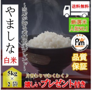 新米 お米 令和5年産 10kg  老舗伝承厳選精米 やましな ５kg×２袋 白米 嬉しいプレゼント付き 送料無料