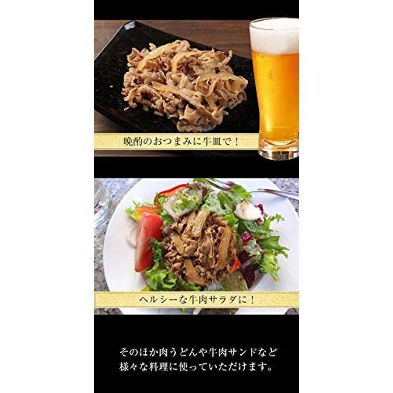 松屋セレクト22食 松屋 乳酸菌入り牛めし135g×22 冷凍食品 冷凍 牛丼 牛めし 牛どん 牛どんの具 牛丼の具 牛めしの具 セット