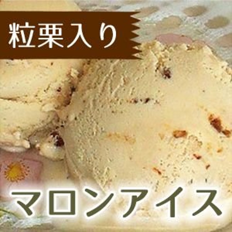 アイスクリーム 業務用 バルクアイス マロンアイス 2L 明治 国産 2リットル 秋 くり 栗 通販 LINEポイント最大0.5%GET |  LINEショッピング