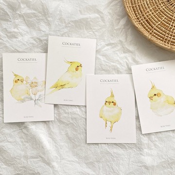 黃化玄鳳鸚鵡 明信片 58