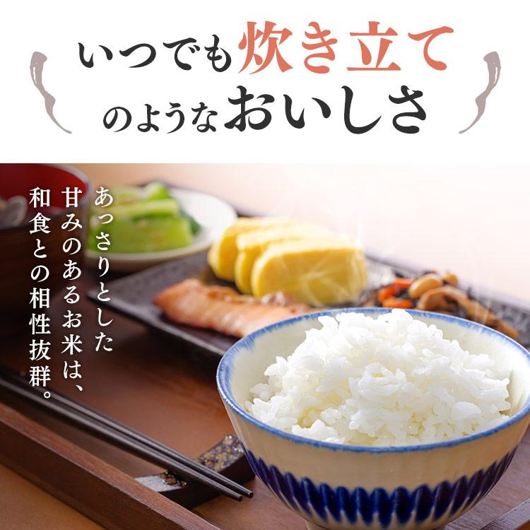 レトルトご飯 パックご飯 ごはん パック 低温製法米のおいしいごはん 秋田県産あきたこまち 180g×10パック 角型 アイリスオーヤマ