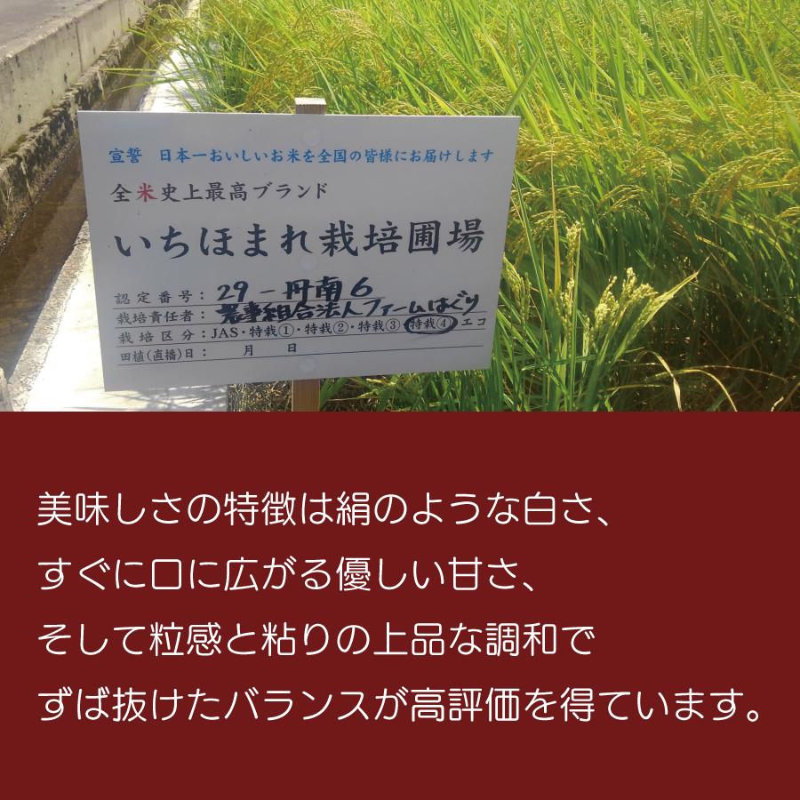 白米 令和４年産 いちほまれ ３kg 福井県産 送料無料 国産 ギフト お米 お取り寄せ お試し 御中元 お中元 御歳暮 敬老の日 御礼 誕生祝い 御祝 返礼品