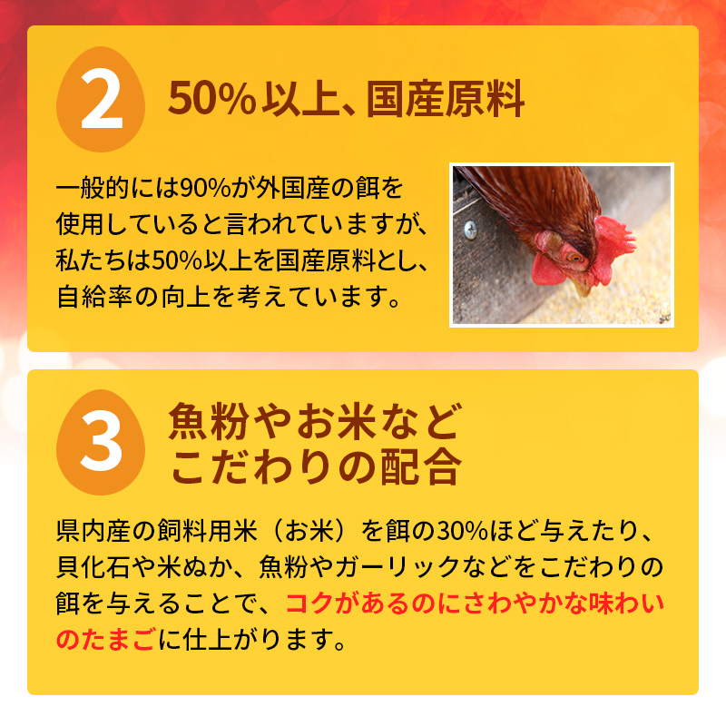 卵 わずか4%の希少な純国産鶏 いけだの森たまご 60個 こだわり おこめのたまご 玉子 鶏卵 生卵 産地直送 冷蔵配送 TKG 卵かけご飯 岐阜県産