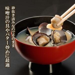 ふるさと納税 訳あり 涸沼産 中粒 冷凍 シジミ 2.4kg （400ｇ×6袋） しじみ 蜆 大和しじみ ヤマトシジミ 大玉 砂抜き済 冷凍 味噌汁 スープ.. 茨城県大洗町