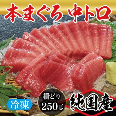 ふるさと納税 越前市 本まぐろ 中トロ 250g(柵どり)