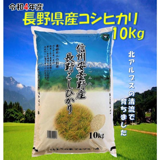 新米入荷しました！　令和5年産　長野県産コシヒカリ10kg