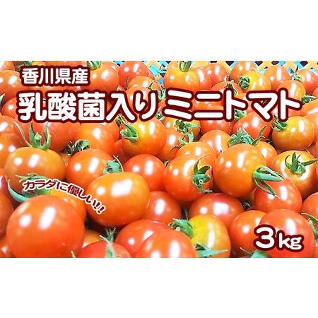 ふるさと納税 カラダに優しい「乳酸菌入り ミニトマト3kg」 香川県東かがわ市