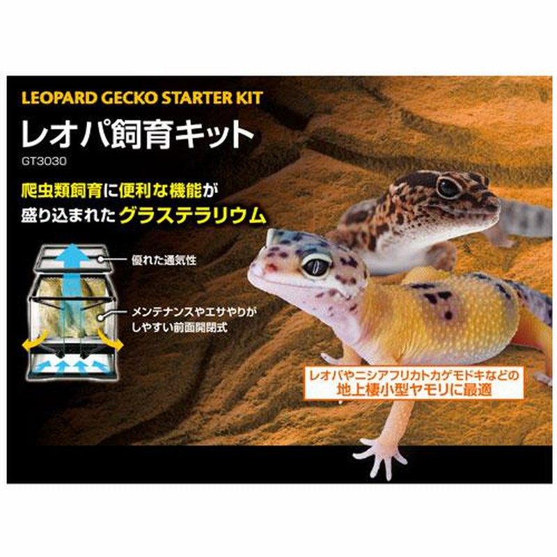 レオパ レオパードゲッコー ハンモック 爬虫類 小動物 ハンドメイド