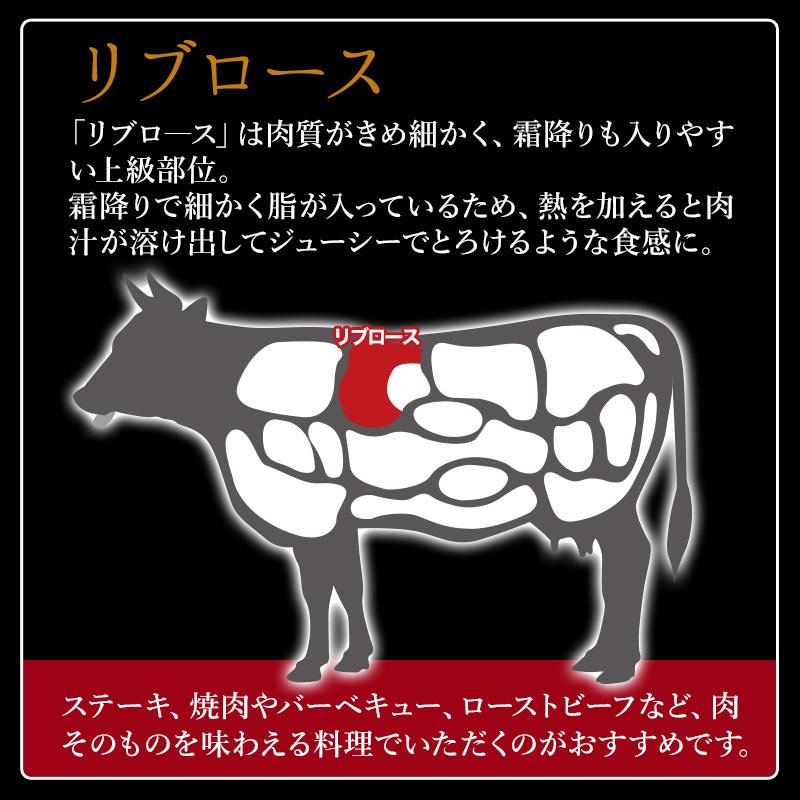 おおいた豊後牛 リブロースステーキ2枚 500ｇ 大分県 ブランド牛 黒毛和牛 おおいた和牛 お取り寄せ