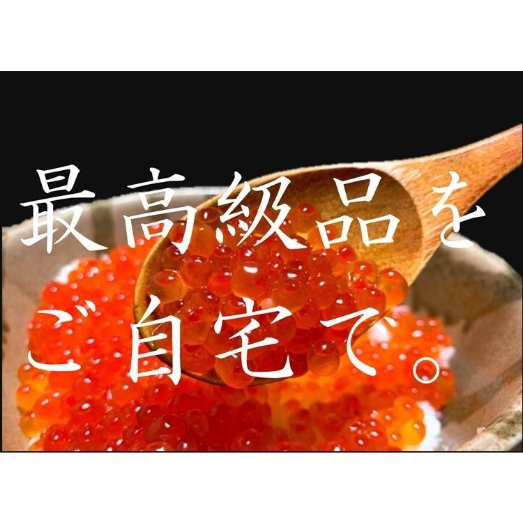 いくら イクラ いくら醤油漬け 500g×2 計1.0kg 北海道産 秋鮭 最高級品 箱付き ギフト 送料無料