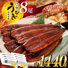 宮崎県日向市産　鰻楽ハーブうなぎ蒲焼8尾(計1440g)