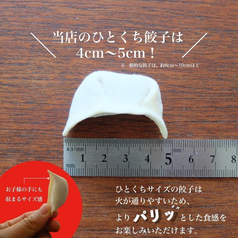 ☆大人気＆大満足！☆博多塩もつ鍋セット 2-3人前 ＋ 博多ひとくち純情餃子 ※送料無料