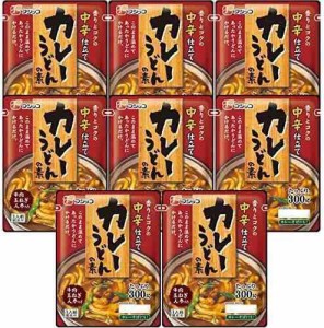 フジッコ カレーうどんの素 中辛 300g ×10個