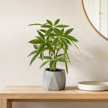 Meric Garden 高仿真招財發財樹療癒手工水泥小盆栽