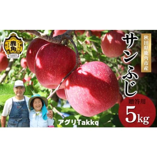 ふるさと納税 秋田県 鹿角市 秋田県鹿角産りんご「サンふじ」贈答用 約5kg（16〜20玉前後）●2023年11月中旬発送開始　りんご リンゴ 林檎 秋…