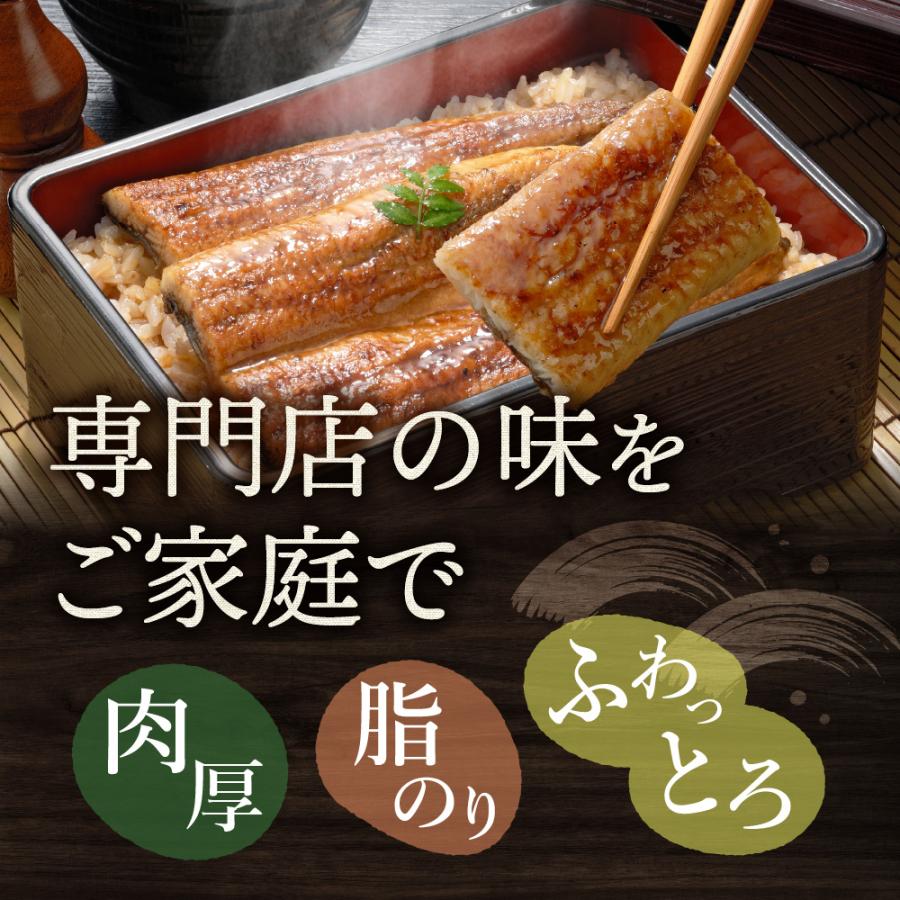 うなぎ 蒲焼 140g×2尾入り 2〜3人分 浜名湖産 送料無料 国産 ギフト お祝い 内祝 浜名湖 土用の丑の日 お取り寄せ グルメ プレゼント 鰻 ウナギ かば焼  贈答