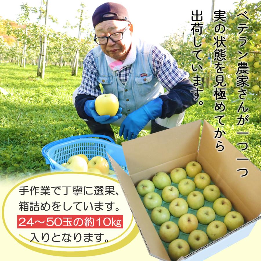 りんご 王林 10kg （約24玉〜50玉入り）2023年産 青森県産りんご ご家庭用 訳あり 産地直送 工藤農園