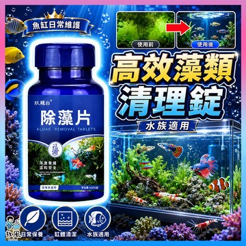 放風水族｜台灣現貨【高效除藻片】不傷魚草 解決綠水/水綿/剛毛藻 魚缸清理對策 淨化水質 新老苔同樣有效 穩定水體 藻類