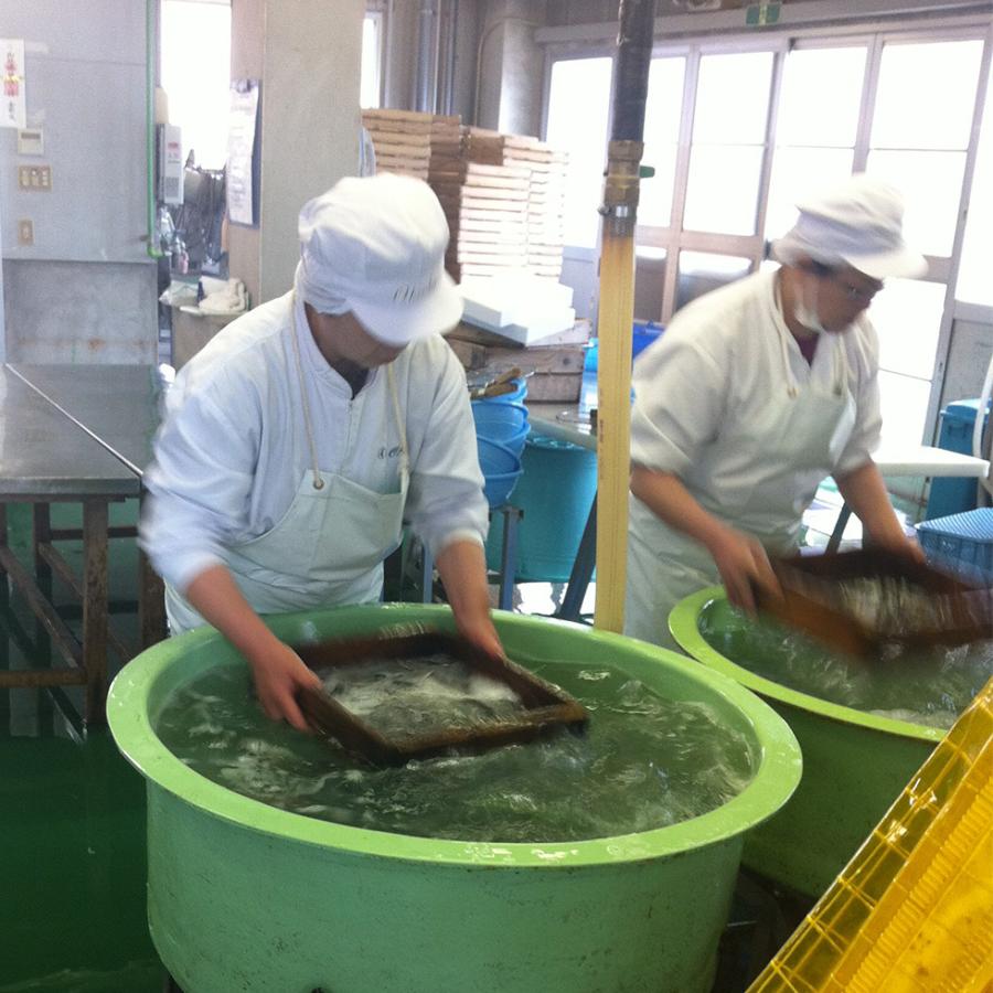 産地直送 生しらす しらす シラス 静岡 静岡産 白飯 100g×2パック 冷凍便 送料無料 同梱不可