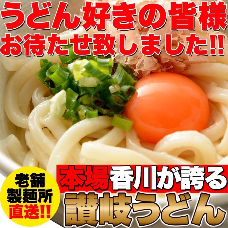 鎌田醤油特製ダシ醤油6袋付き!!讃岐うどん6食分600g（300g×2袋）　直送