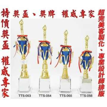 獎盃 獎牌 客製化  量多有優惠 TTS-053 TTS-054 TTS-055 TTS-056【大自在運動休閒精品店】