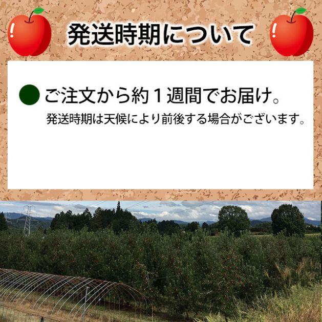  美空野 飛騨 りんご 1.5kg 袋×2袋 無選別 飛騨 高山 果物 フルーツ 生 リンゴ