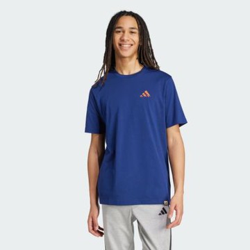 adidas 愛迪達 短袖上衣 男 亞規 M DDL HIKE T 藍 KA7137