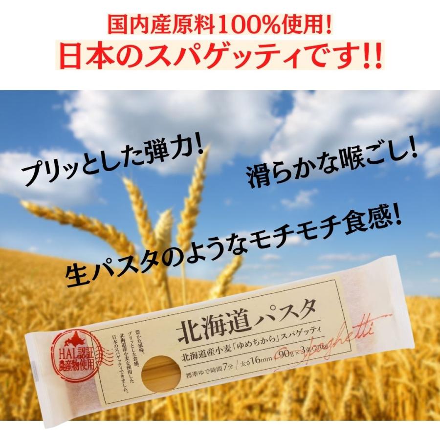 パスタ 北海道パスタ270g×3袋 お試しセット 国産小麦100％使用 ゆめちから 赤城食品