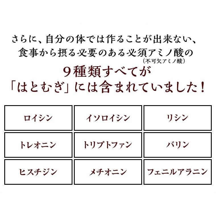 ハトムギ そのまま食べる はと麦 はとむぎ スナック 100ｇ 送料無料 はとむみ 煎り 焙煎 美容 健康 ヨクイニン はと麦茶 はとむぎ茶 国内製造 シリアル