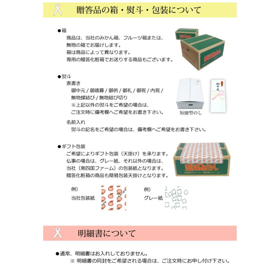 4営業日以内に発送　贈答愛媛みかん１０ｋｇ