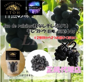 duo de raisins(枝なし干しぶどう) 選べる 巨峰、高尾、ピオ－ネ 60g×2 巨峰 大粒 レーズン ギフト おつまみ フルーツのいとう園 産地直