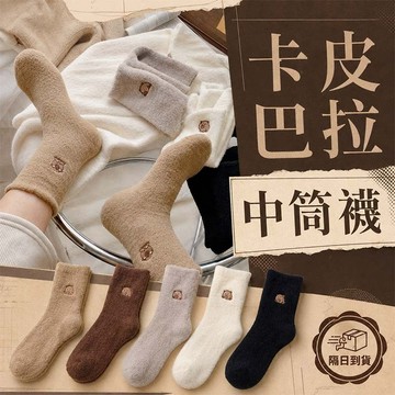 柔軟親膚👏【BT3】卡皮巴拉刺繡羊毛襪 襪子 羊毛襪 長襪 保暖襪 襪子女 中筒襪 卡皮巴拉【GO27】