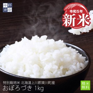 新米 特別栽培米 減農薬栽培米 玄米 米  北海道産 おぼろづき 1kg 特別栽培米（節減対象農薬8割減・化学肥料6割減） 上川郡東川町 【生産