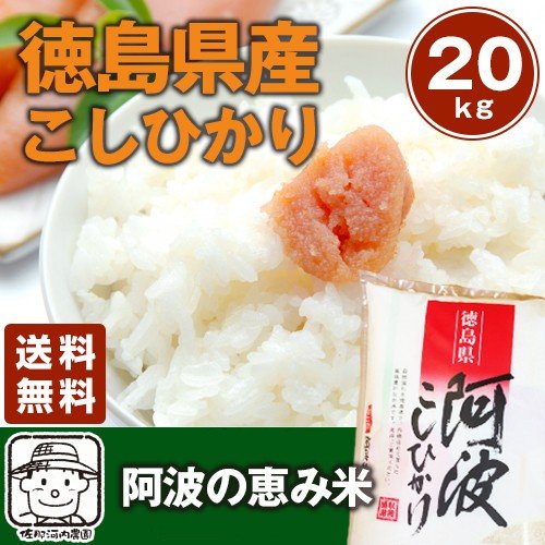 令和5年産　新米徳島県産コシヒカリ　阿波の恵み米こしひかり　20ｋｇ(5kg×4袋)※北海道、沖縄及び離島は別途発送料金が発生します