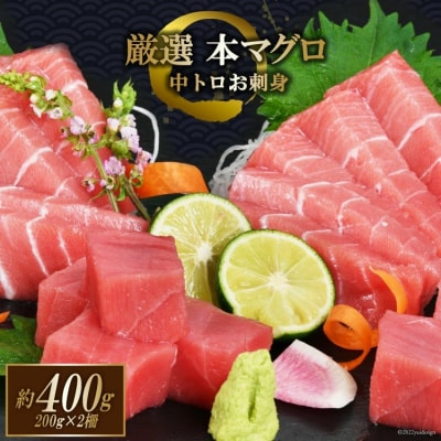 マグロ 本マグロ背トロ 約400g(200g×2柵) 中トロ 刺身 冷凍   豊洋海産流通