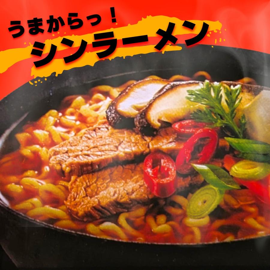 農心 辛ラーメン 120g×20袋入 即席中華麺 韓国産 NONGSHIM Shin Ramen Noodles 20 パック インスタントラーメン