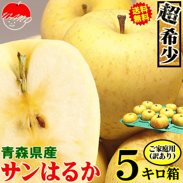 あすつく 青森 りんご 5kg箱 サンはるか 送料無料 家庭用 訳あり 青森 リンゴ 訳あり 5キロ箱★サンはるか 家訳 5kg箱